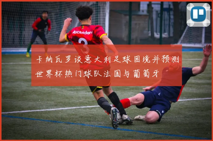 卡纳瓦罗谈意大利足球困境并预测世界杯热门球队法国与葡萄牙