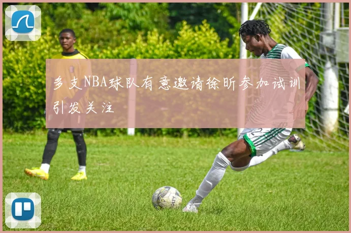 多支NBA球队有意邀请徐昕参加试训引发关注